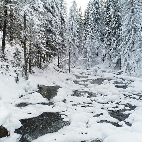Photo #4502551