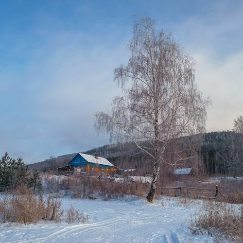 Photo #4502742