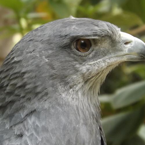 Photo #4502789