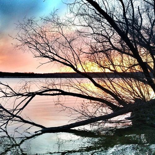 Photo #4503010