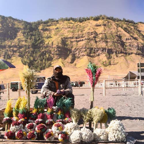 A man with his flowers at Mount of Bromo, East Jawa, Indonesia..