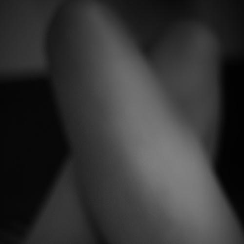 Photo #4503251
