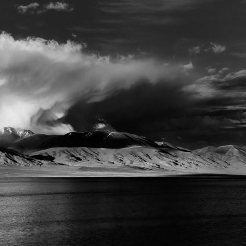 Photo #4503416