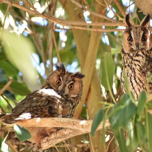 Photo #4503459