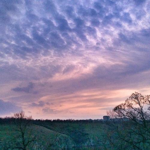 Photo #4503672