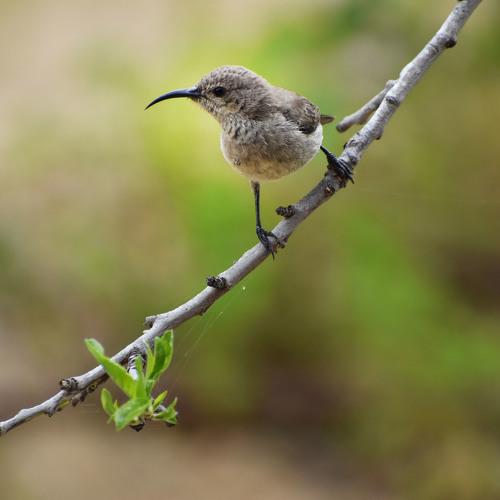 Photo #4503742