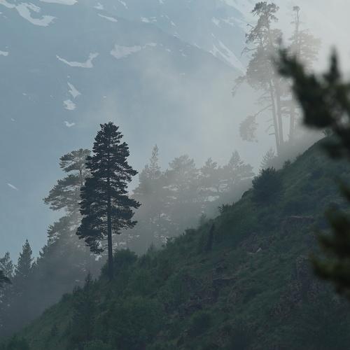 Photo #4503849