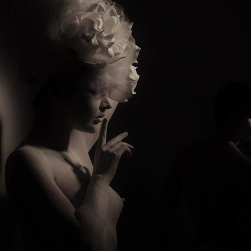 Photo #4503871
