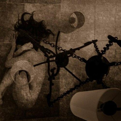Photo #4503874