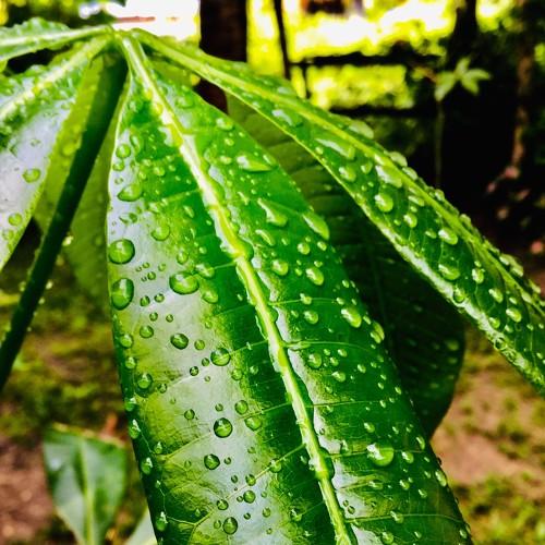 Photo #4503939