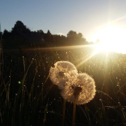 Photo #4504037