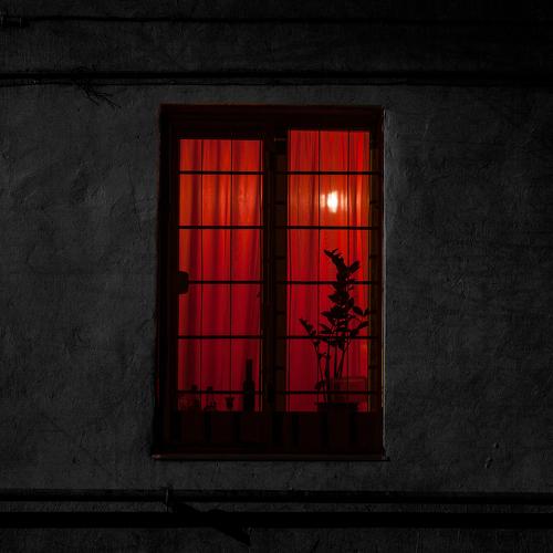 Photo #4504048