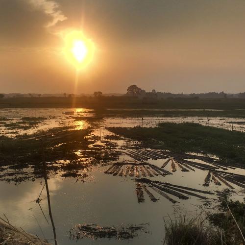 a sunset in summer