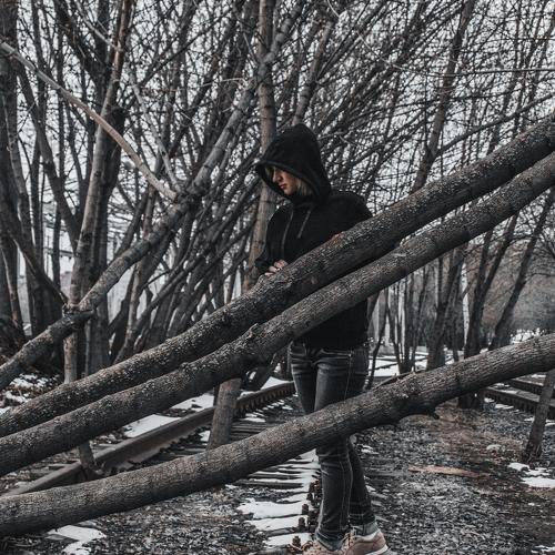 Photo #4504277
