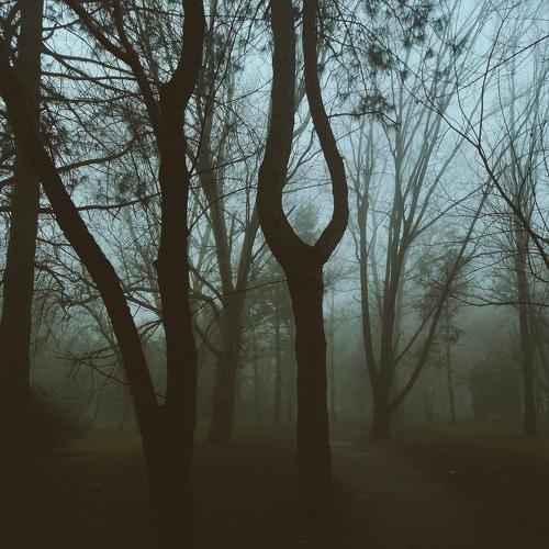Photo #4504311