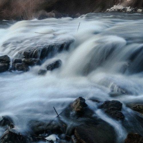 Photo #4504335