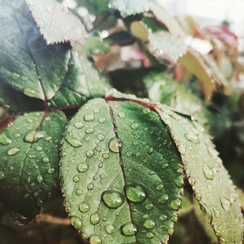 Photo #4504336