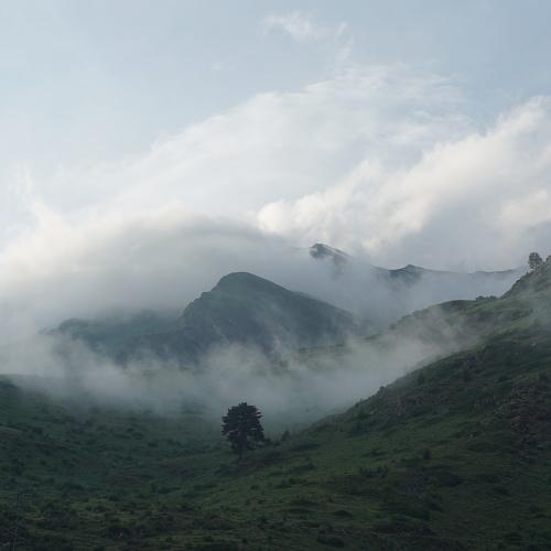 Photo #4504352