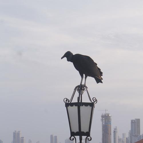 Photo #4504457