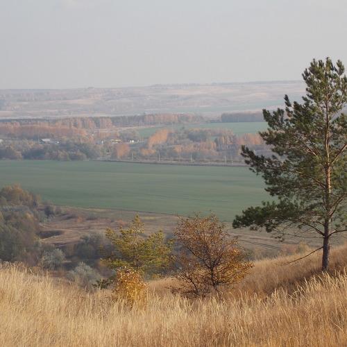 Photo #4504518