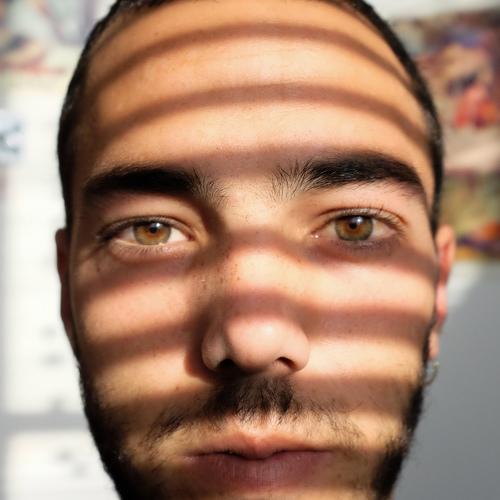 Photo #4504523