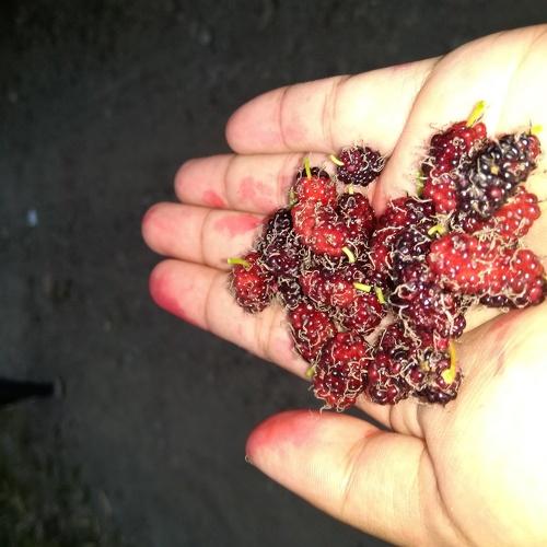 Photo #4504593