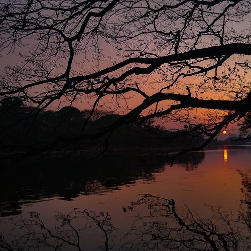 Photo #4504596
