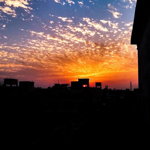 Photo #4504602