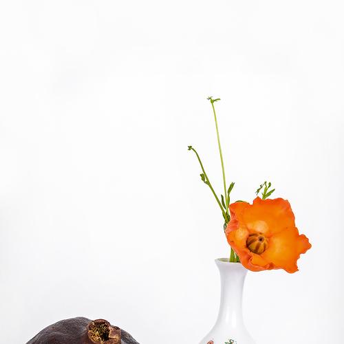 Photo #4504710