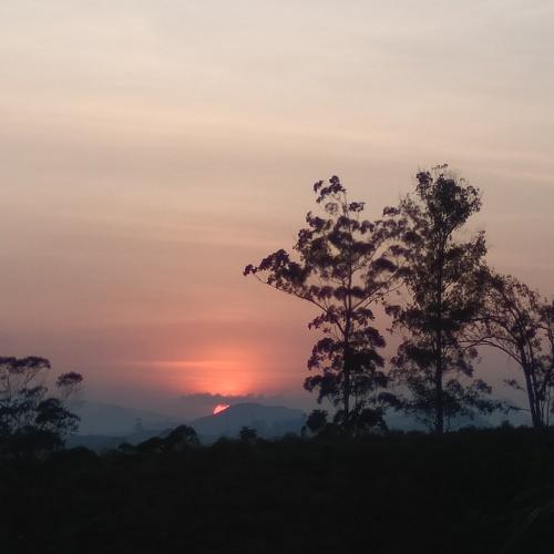 Photo #4504913