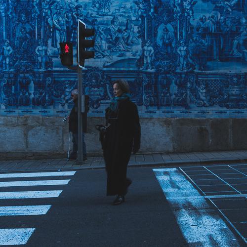 Photo #4505134