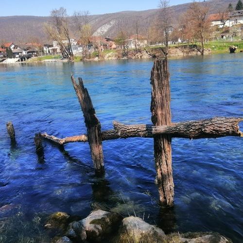 Photo #4505334