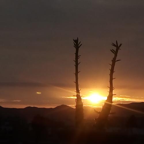 Photo #4505382