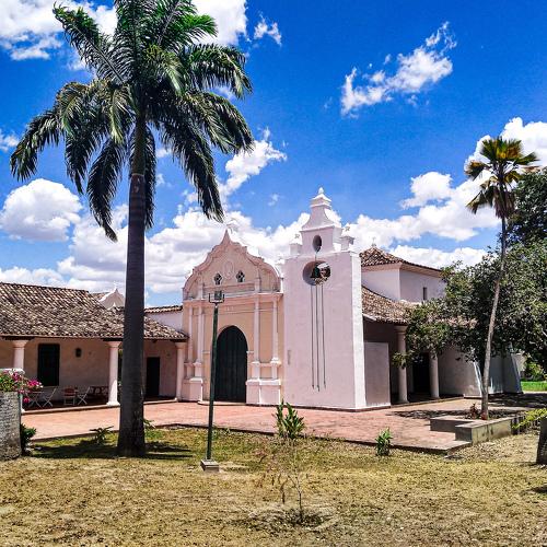 Photo #4505449