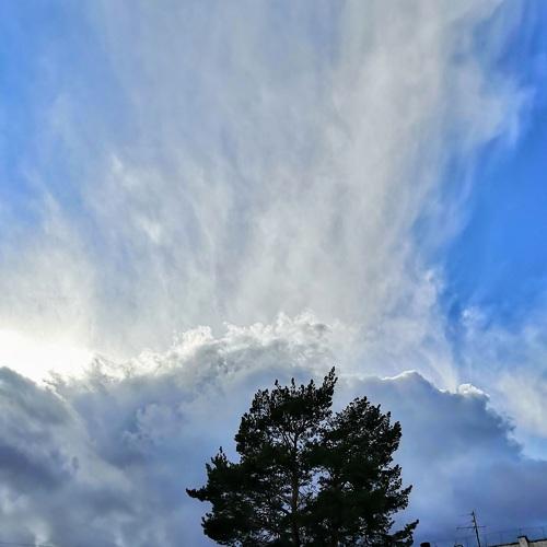 Photo #4505500