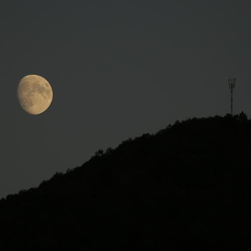 Photo #4505857