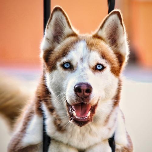 Photo #4505912