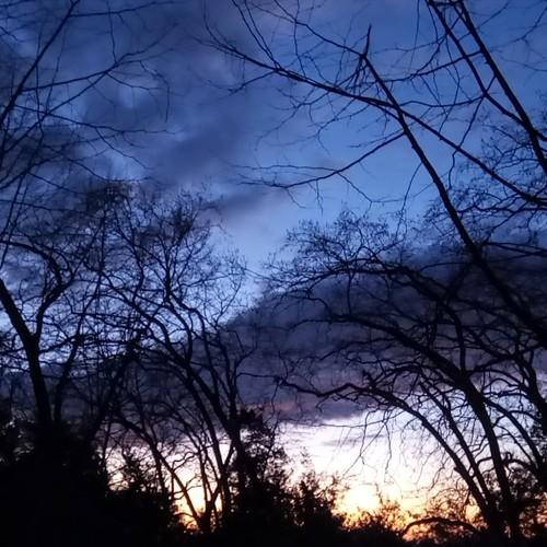 Crepúsculo na floresta