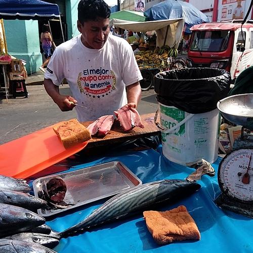 Photo #4506053