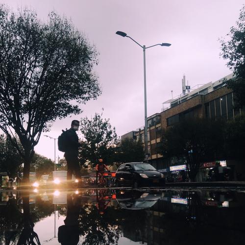 Photo #4506058