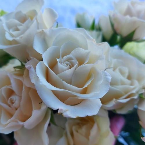 Photo #4506242