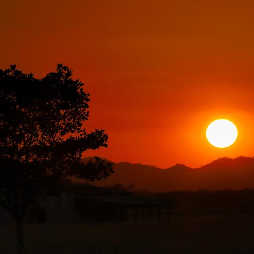 Photo #4506334