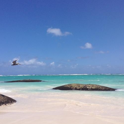 Photo #4506553