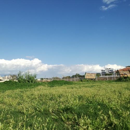 Photo #4506575