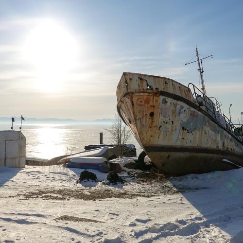 Photo #4506586
