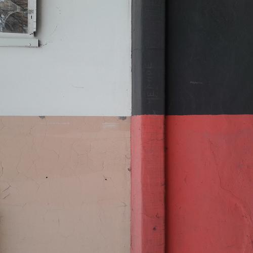 Photo #4506615