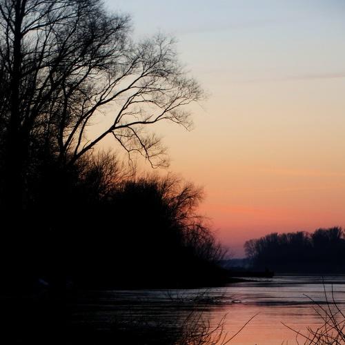Photo #4506662