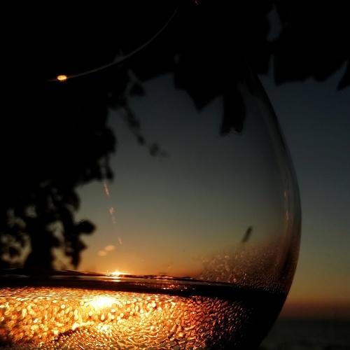 Photo #4507255