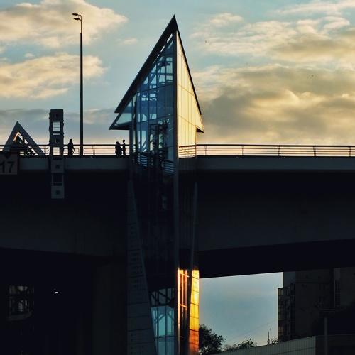 Photo #4507345