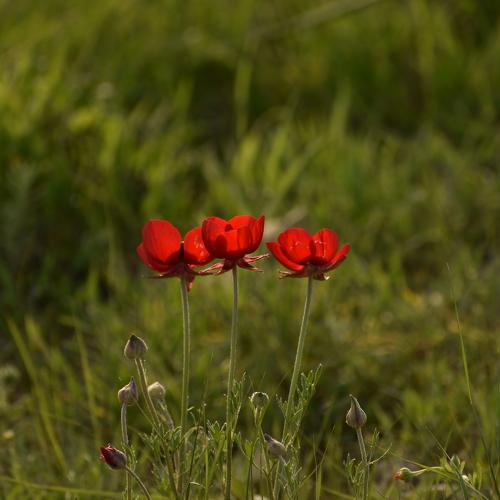 Photo #4507467